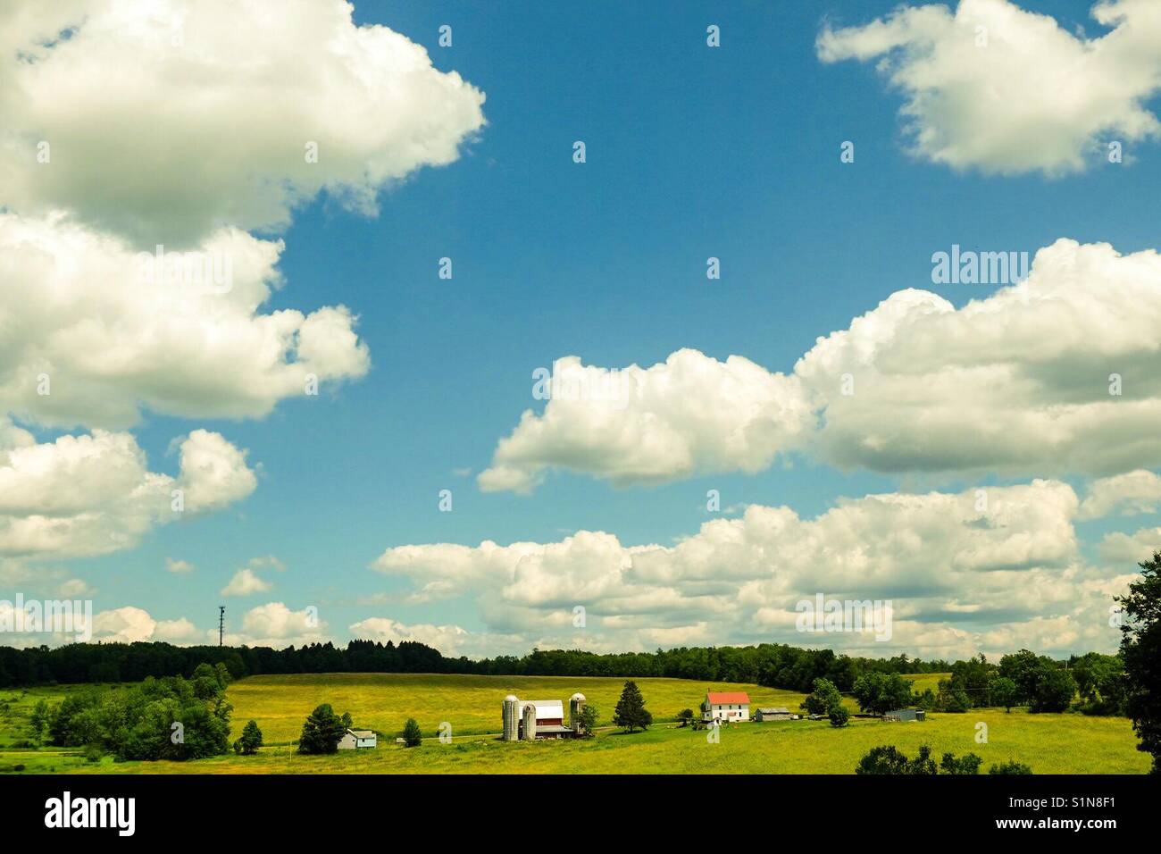 Idyllic dreamscape - Smartphone Captured Stock Image
