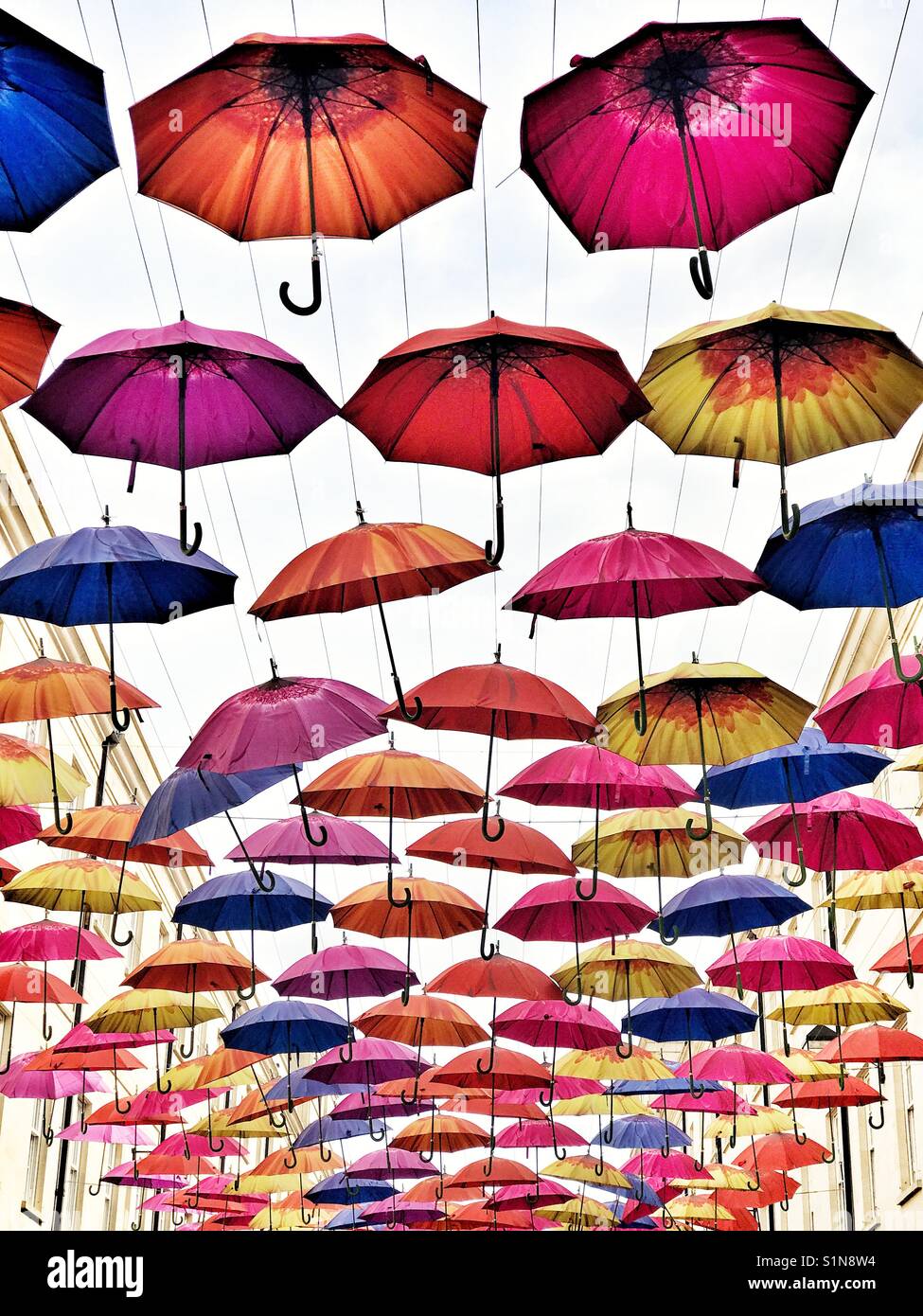Umbrellas above a street in Bath, UK - Smartphone Captured Stock Image