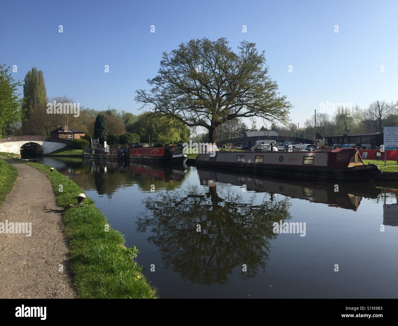 A spring morning on the banks of the Grand Union Canal in Uxbridge West London UK Stock Photo