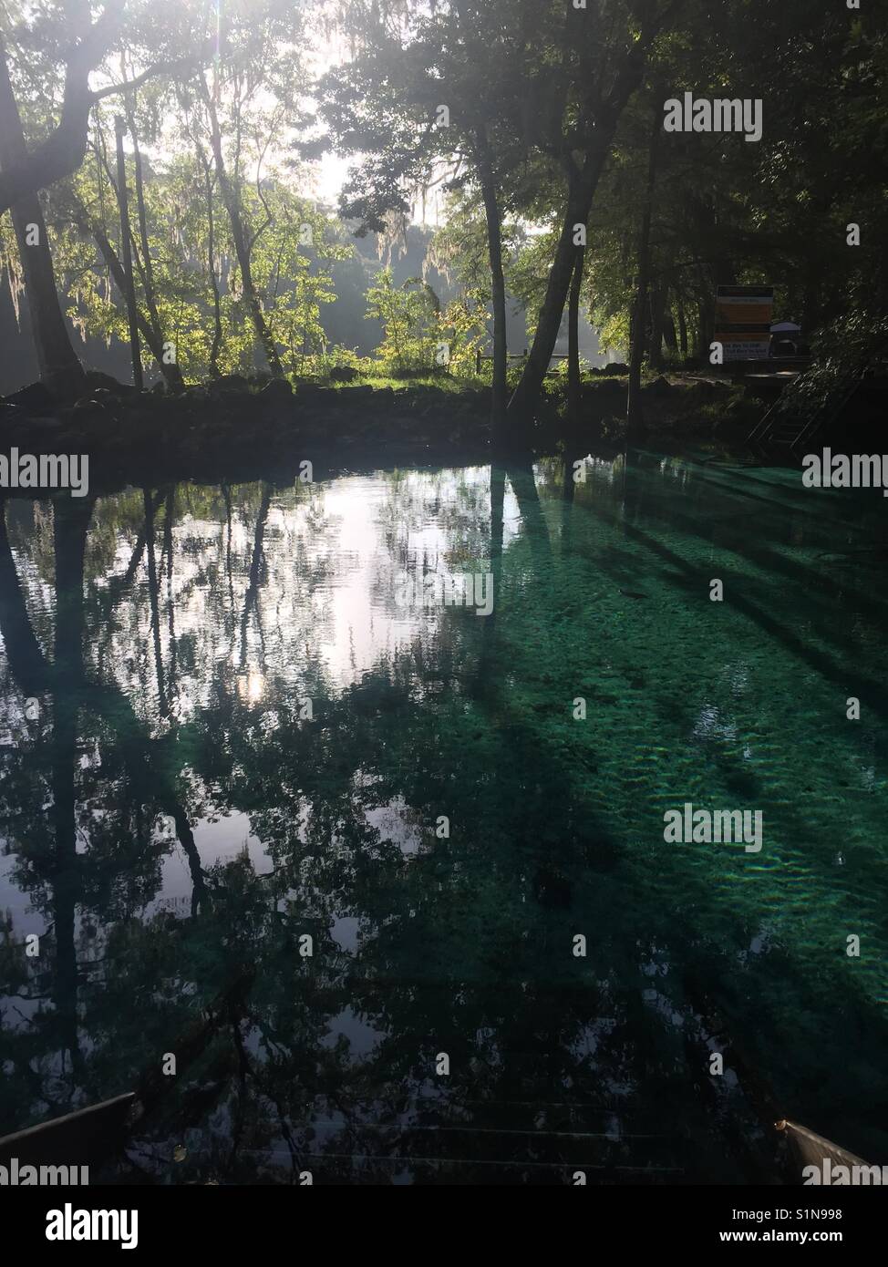 Clear spring water at Ginnie Springs, Florida Stock Photo Alamy