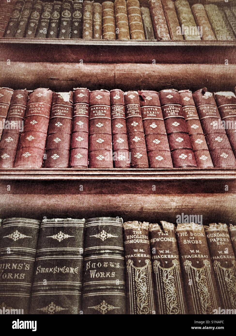 Antique Books On Shelves In A Bookcase Low Angle View Stock Photo