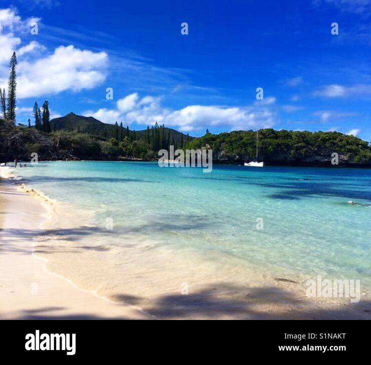 Island Paradise 🌊🌴🐬🐋🐠 Stock Photo - Alamy