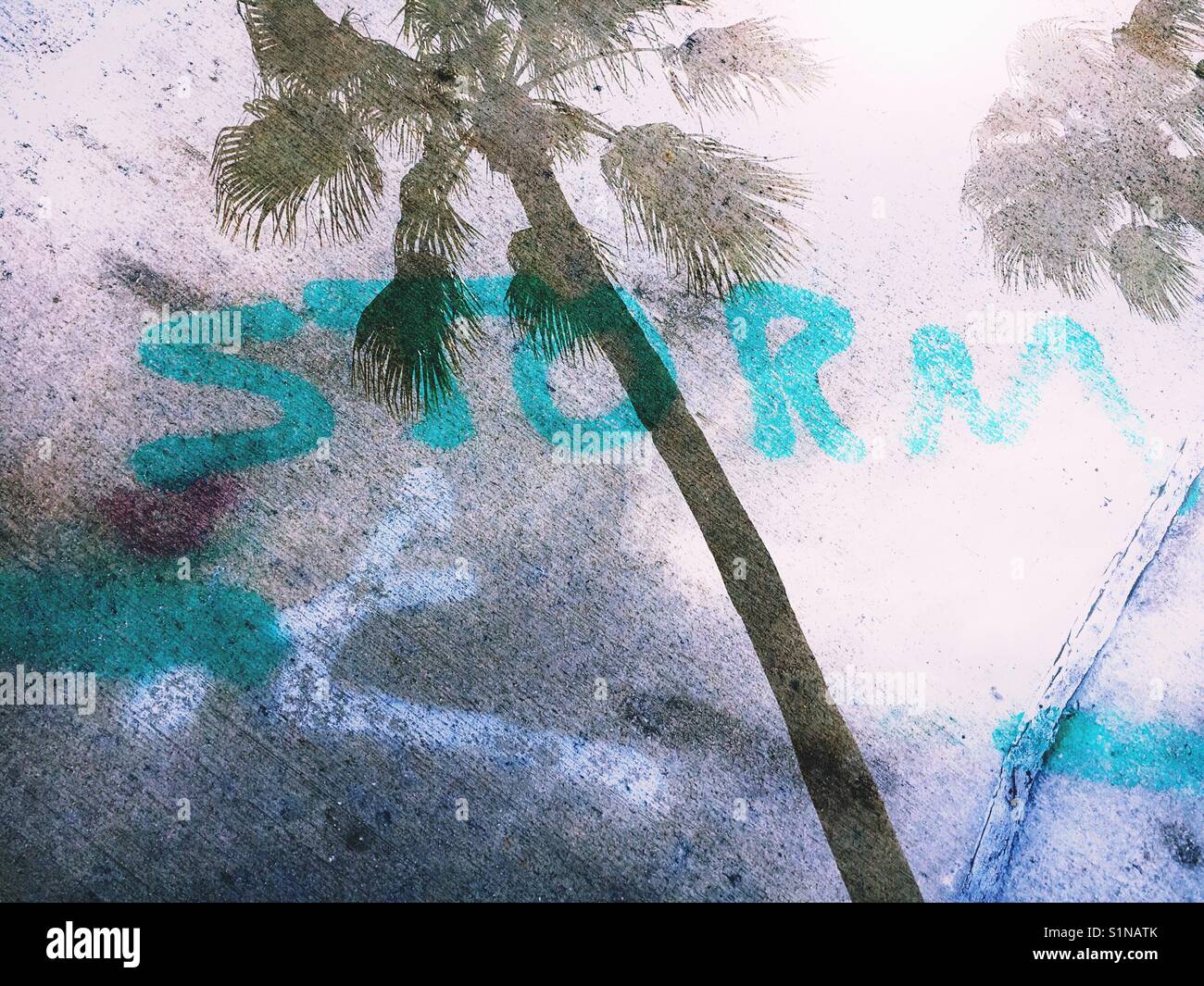 Storm in the tropics - Smartphone Captured Stock Image