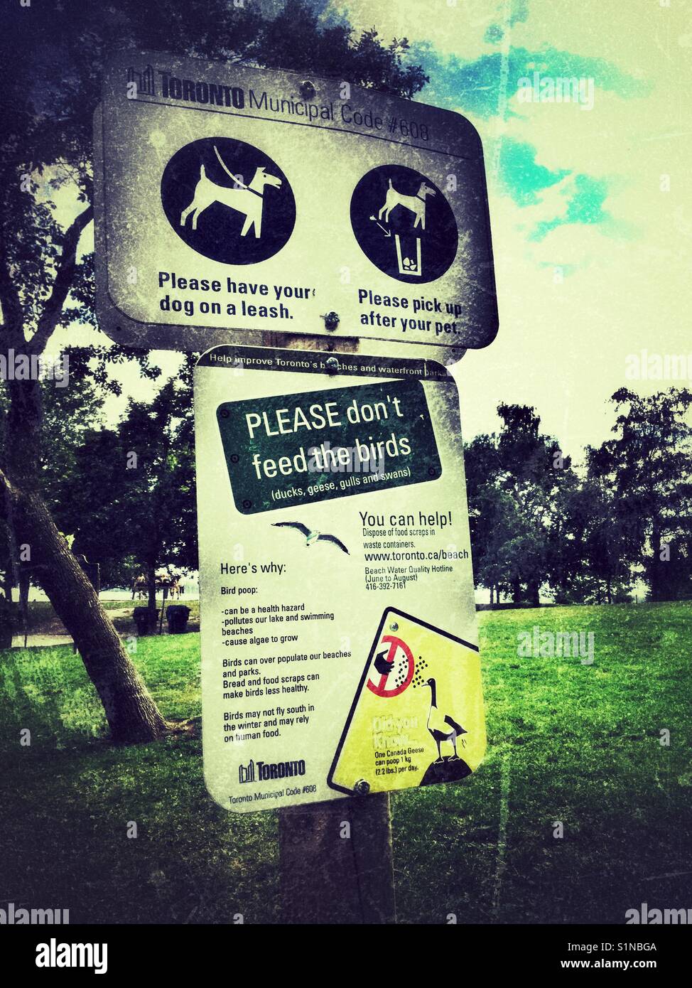 City of Toronto park signs Stock Photo Alamy