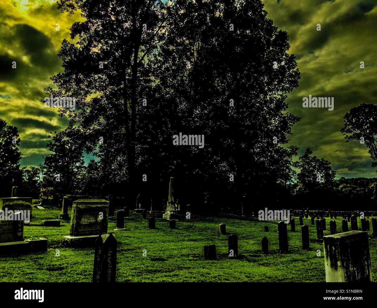 Eerie cemetery scene with odd colors , headstones, overcast sky and large tree - Smartphone Captured Stock Image