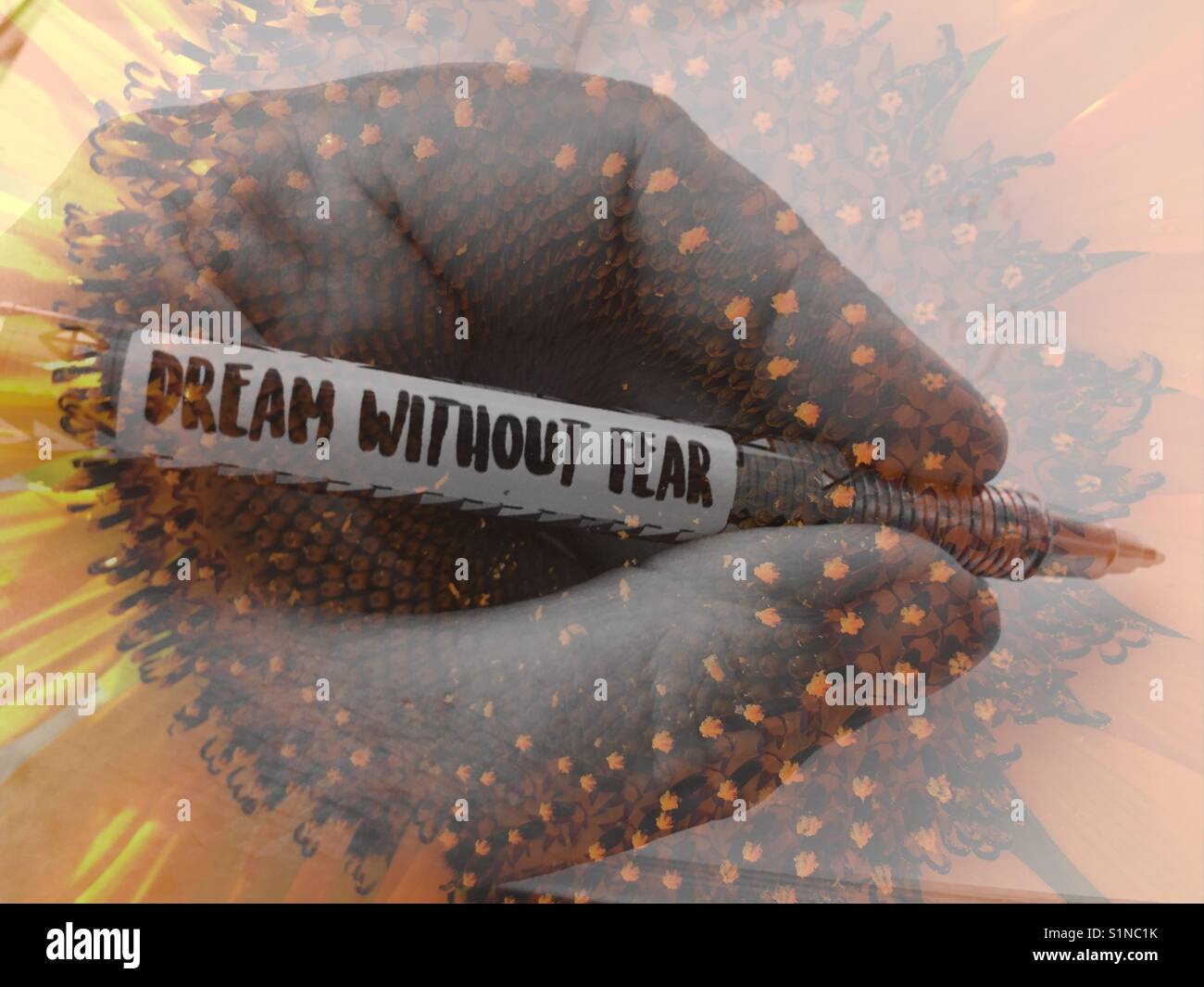 Pen in hand, Dream Without Fear, over notebook page. Double exposure with sunflower, Helianthus annuus - Smartphone Captured Stock Image