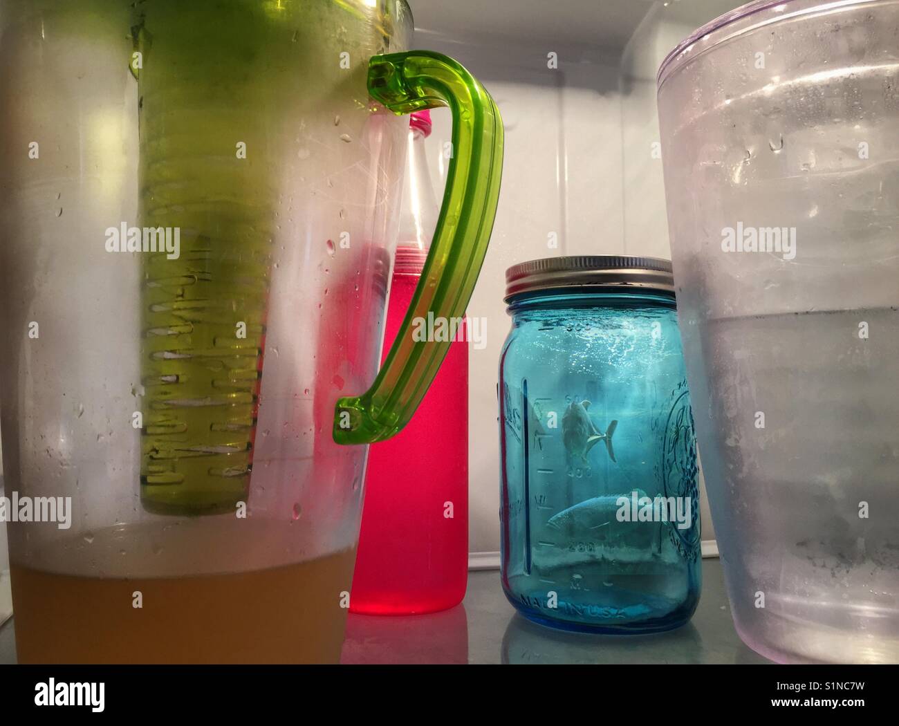 Fish in a jar Stock Photo Alamy