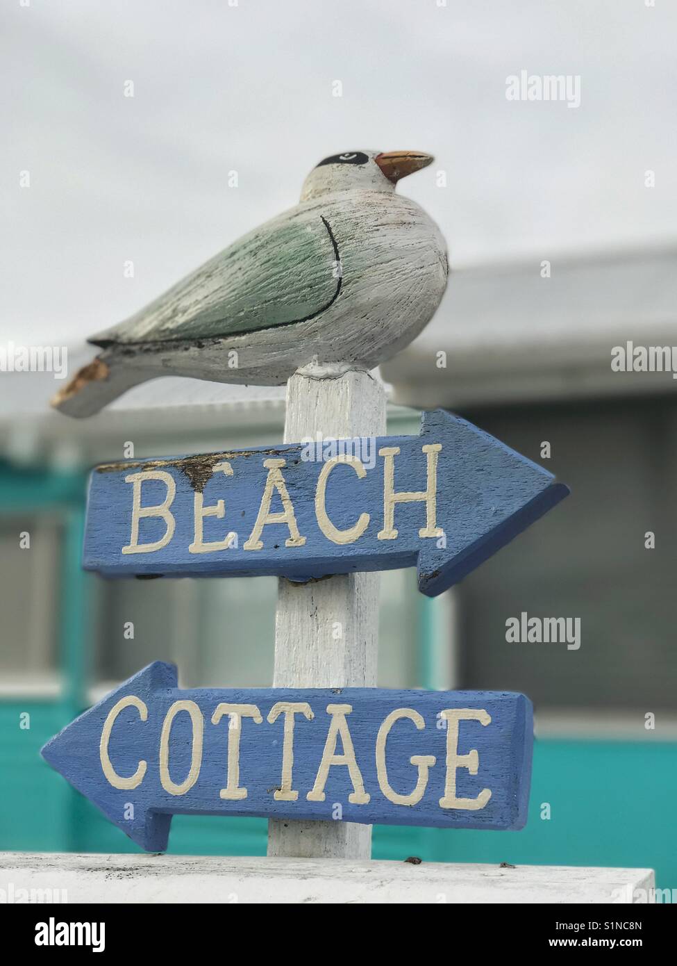 Wooden seagull sitting on beach cottage sign - Smartphone Captured Stock Image