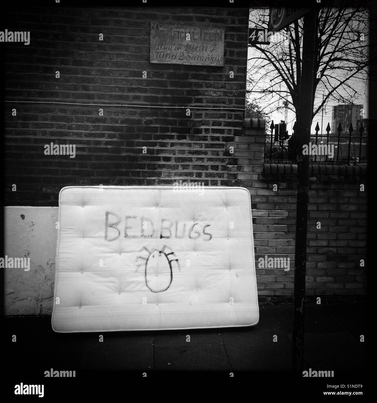 Mattress with bed bugs - Smartphone Captured Stock Image