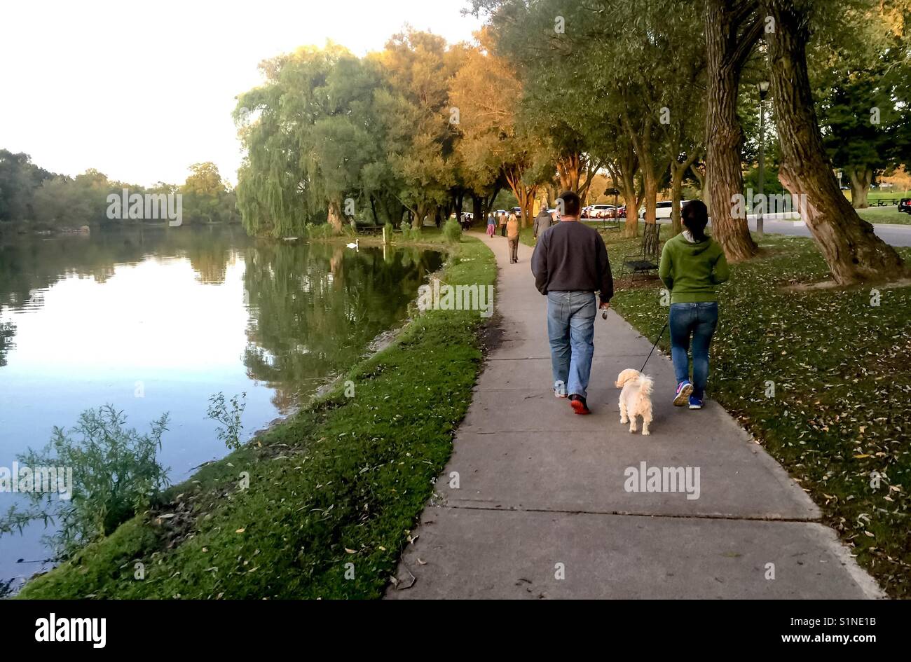Couple and dog by the river - Smartphone Captured Stock Image