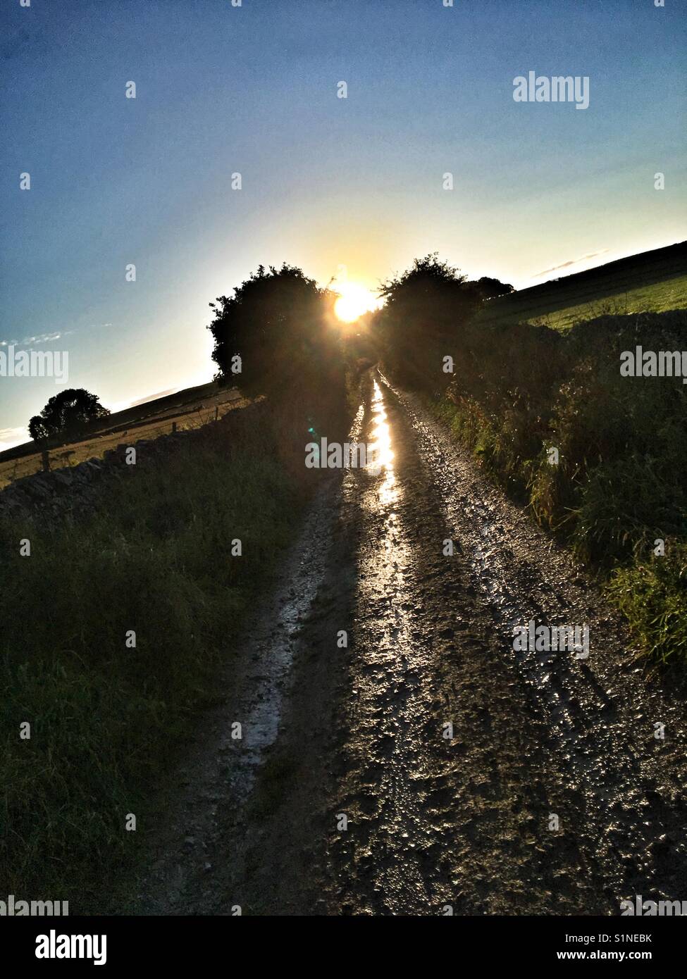 Sunset on a country lane in the Derbyshire Dales - Smartphone Captured Stock Image