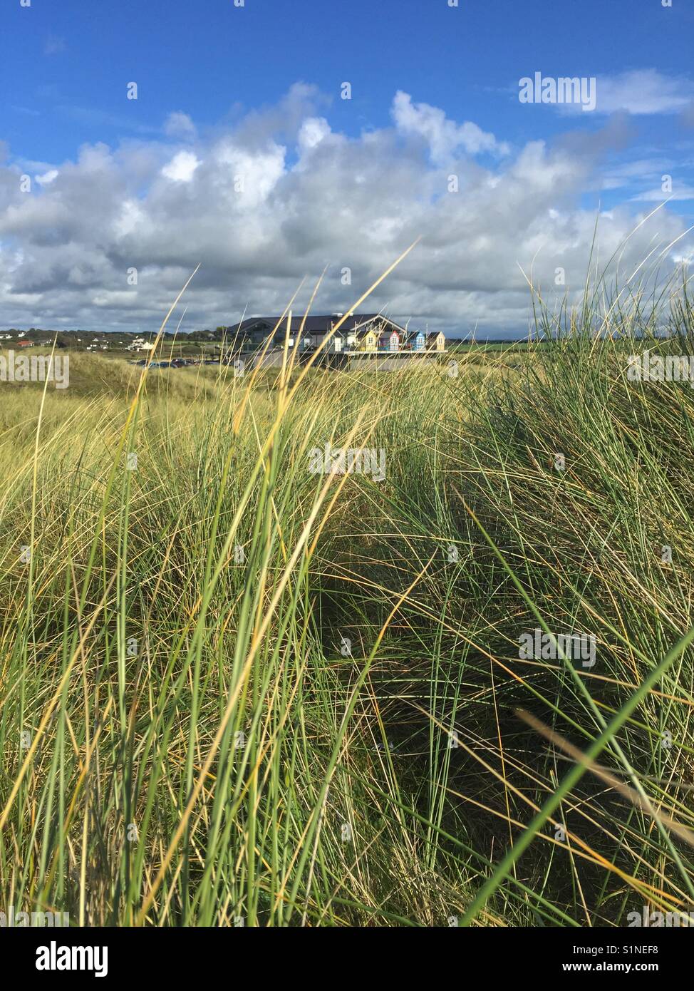 The Oyster Catcher pub, Rhosneigr, through the long grass in the sand