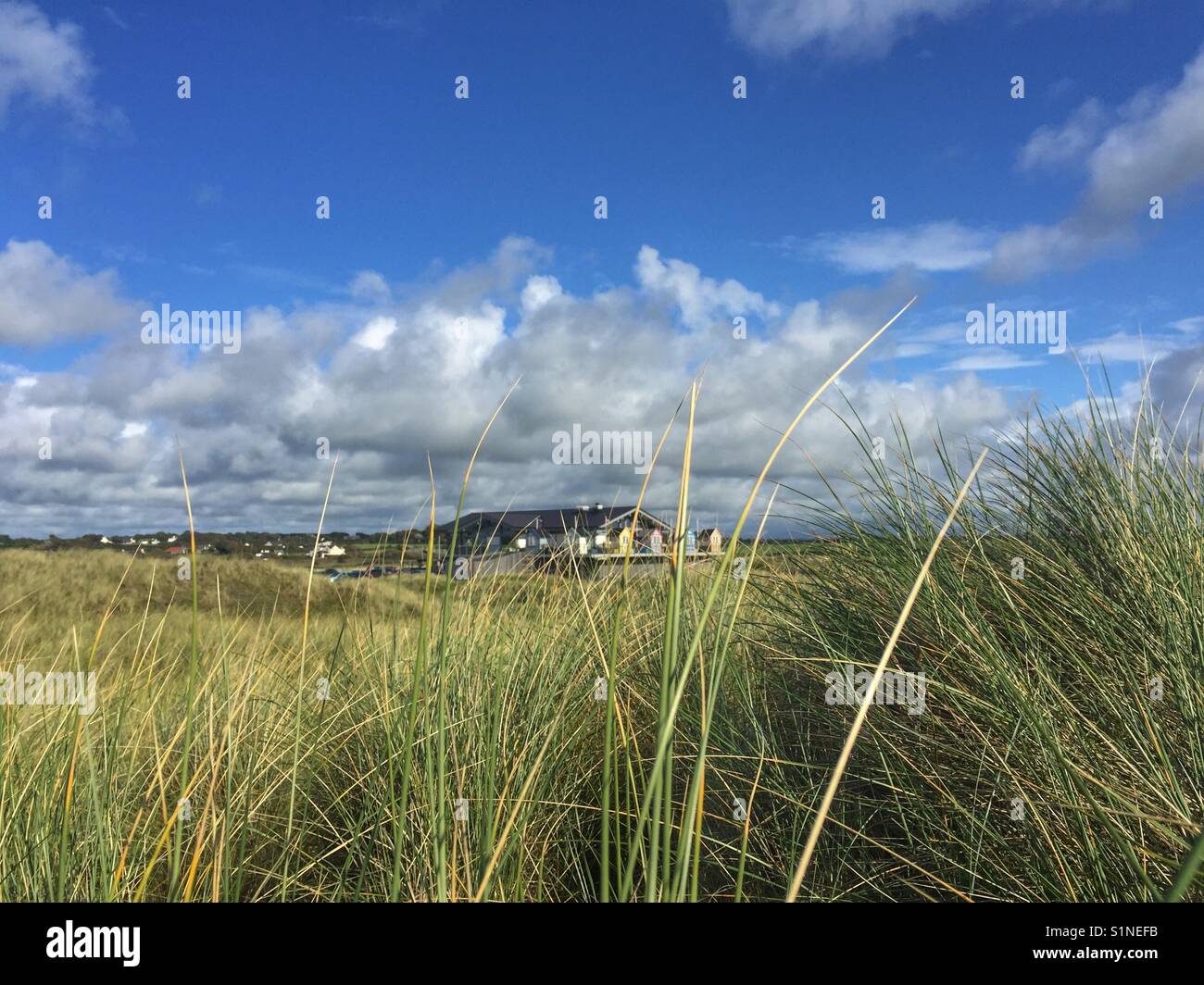The Oyster Catcher Pub through the sand dunes Stock Photo Alamy