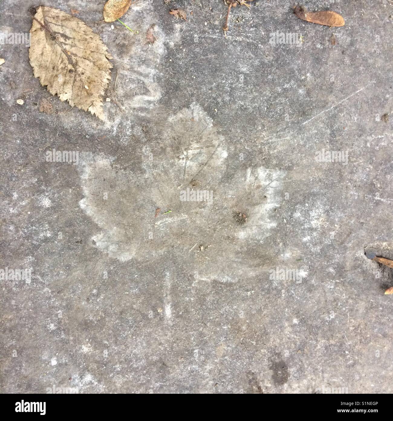 Making a shadow hi-res stock photography and images - Alamy