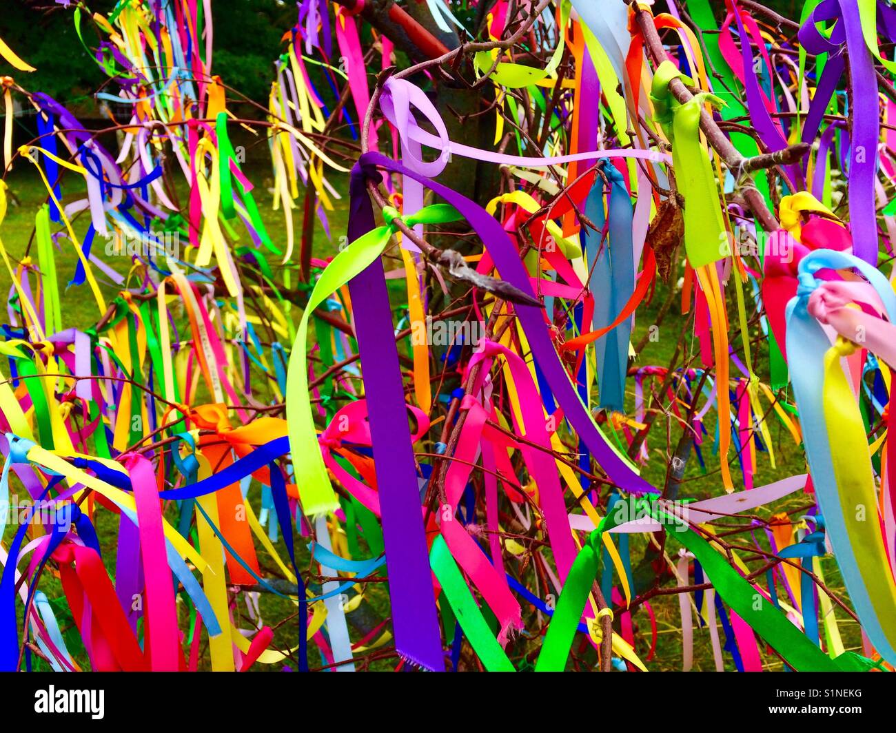 Multicoloured ribbons tied to the branches of a tree Stock Photo Alamy