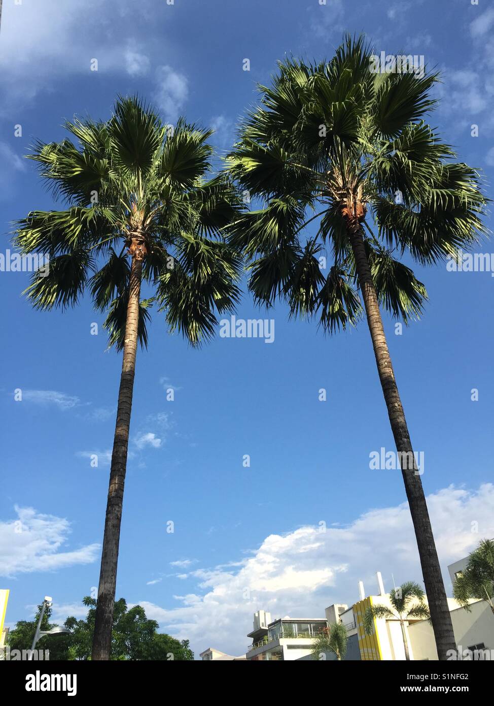 One Fine Day Stock Photo Alamy