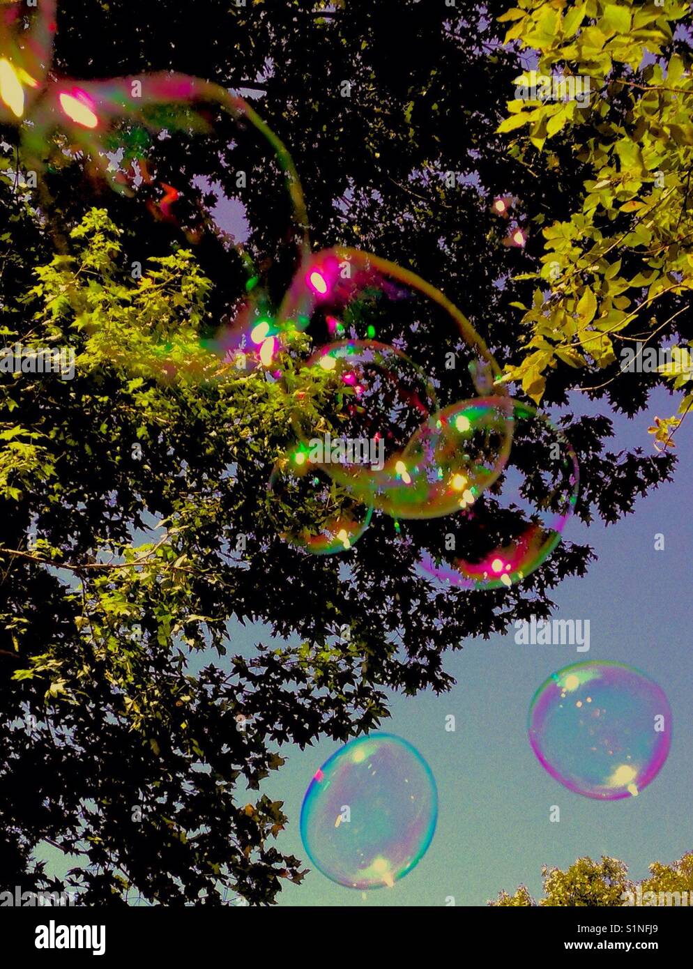 Bubbles in the breeze and up through the trees Stock Photo - Alamy