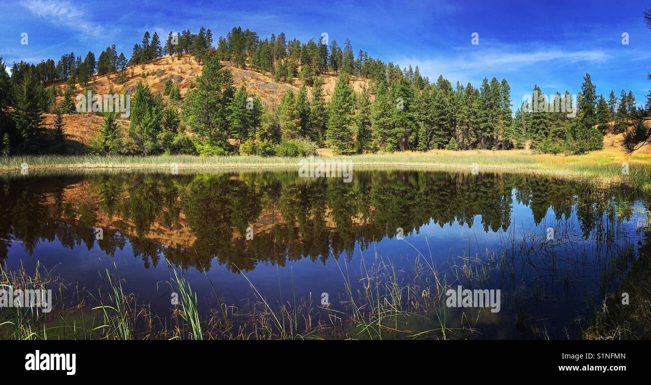 Small lake reflects the adjacent hillside under a sunny blue sky. Stock Photo