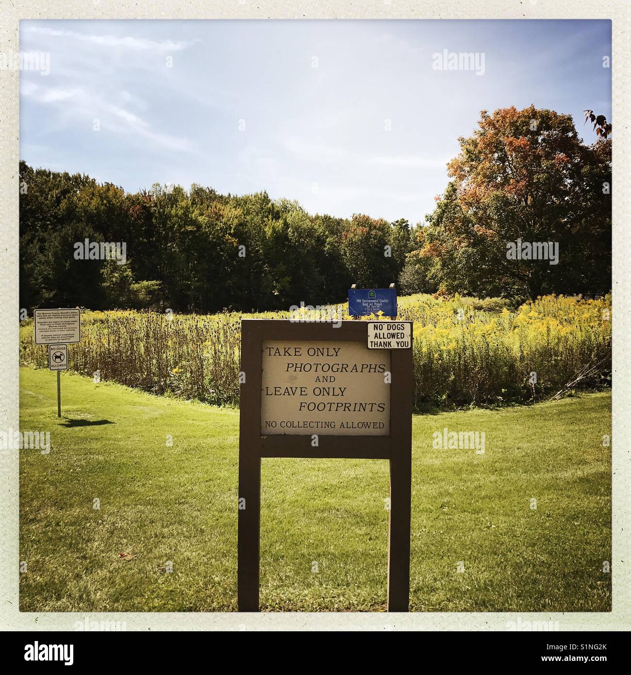 Take only photographs - Smartphone Captured Stock Image