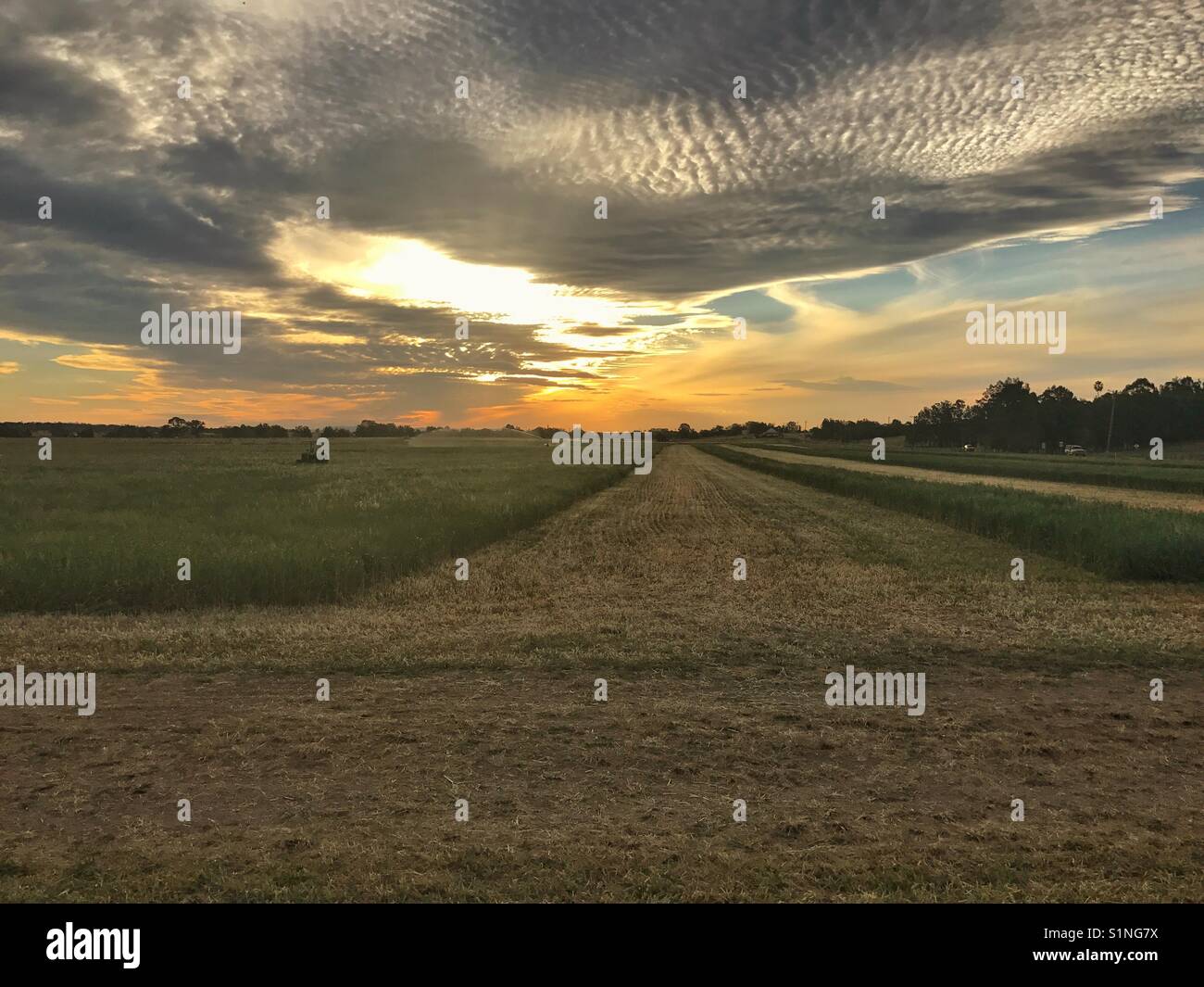 Harvesting in paddock with tractor and irrigator - Smartphone Captured Stock Image