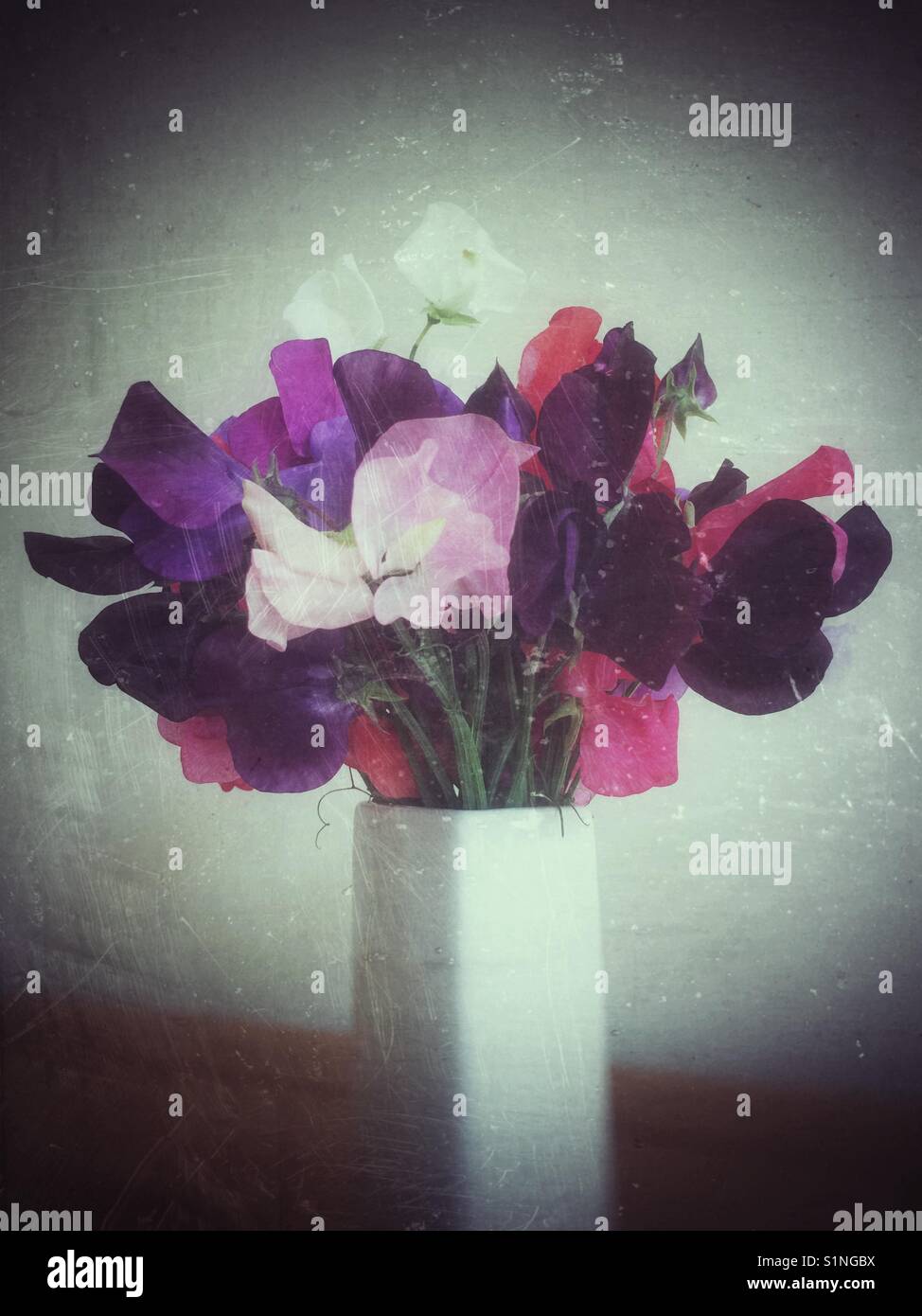 Sweet peas in vase - Smartphone Captured Stock Image