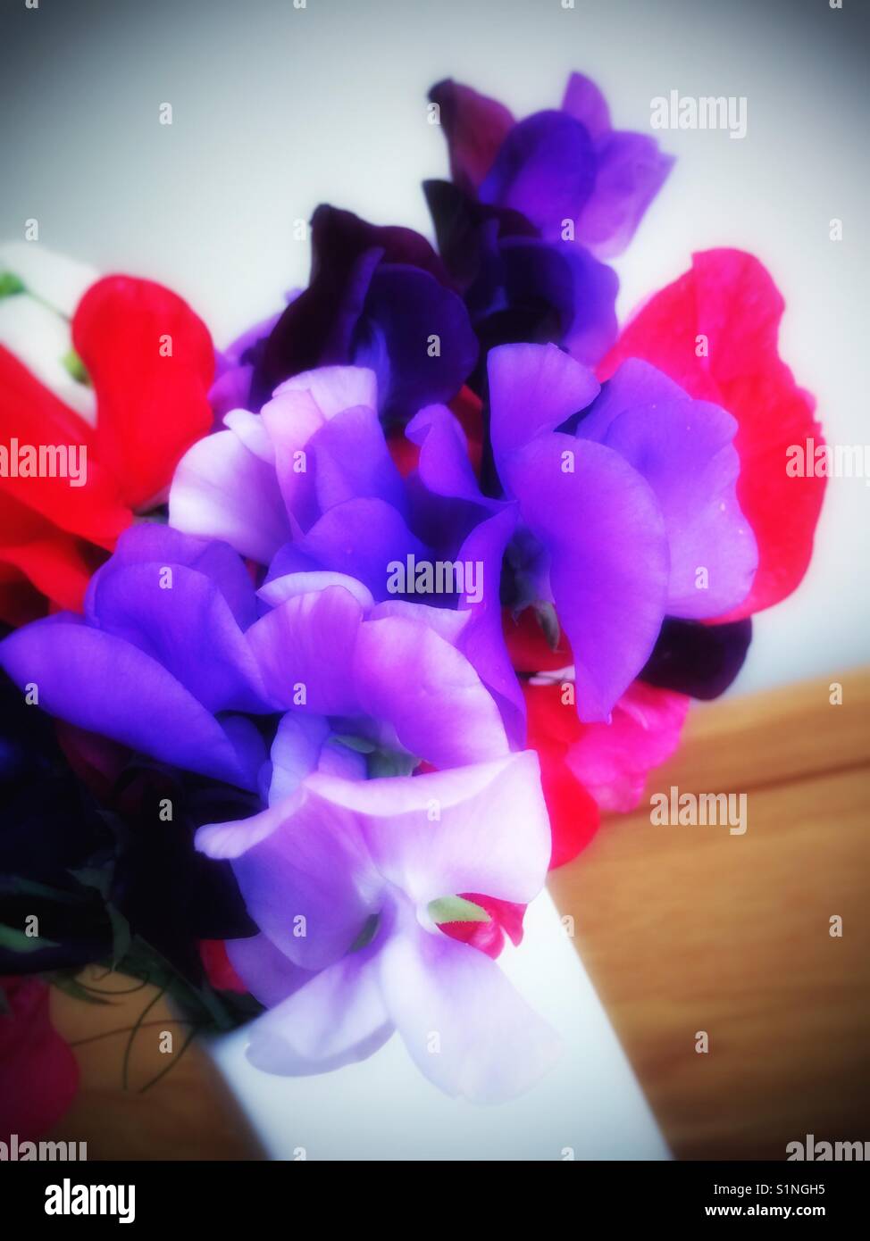 Sweet peas close up - Smartphone Captured Stock Image