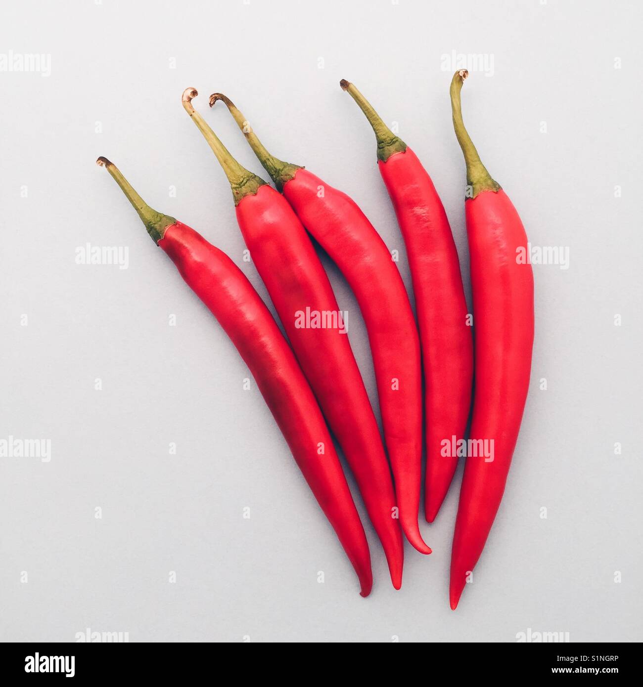 Overhead of five spicy hot red peppers on a pale blue background Stock Photo