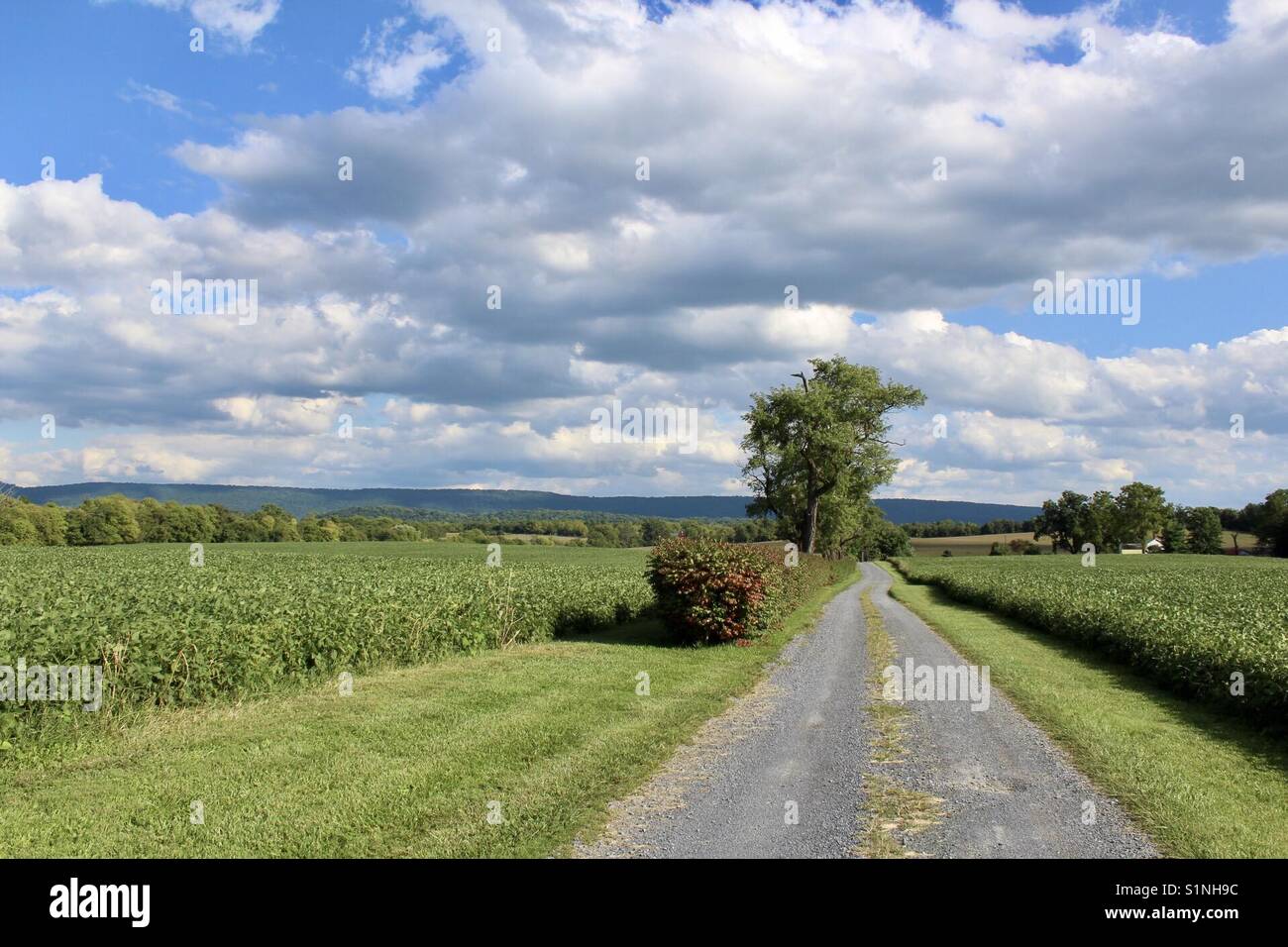 West Virginia land Stock Photo Alamy