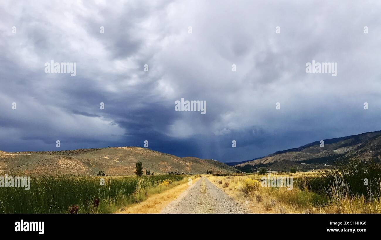 Wilderness of wildlife hi-res stock photography and images - Alamy