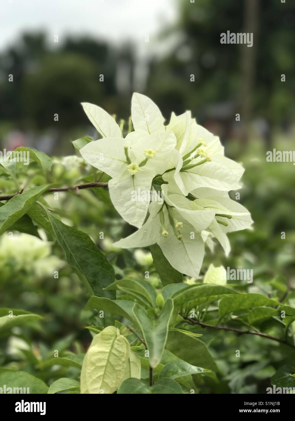 All colors of nature hi-res stock photography and images - Alamy