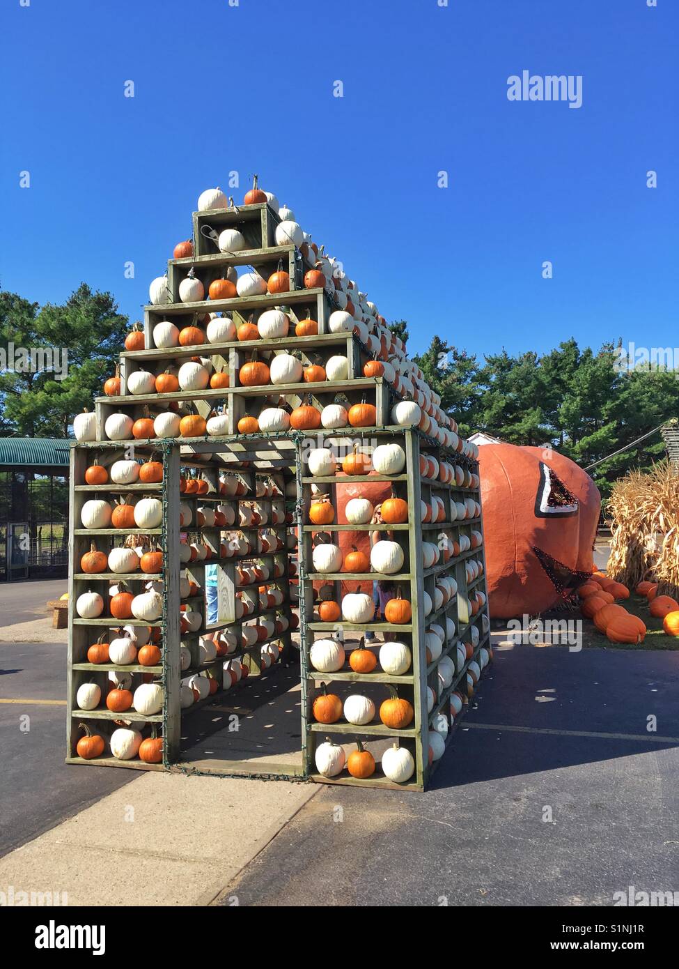 House made of pumpkins by the farm market Stock Photo