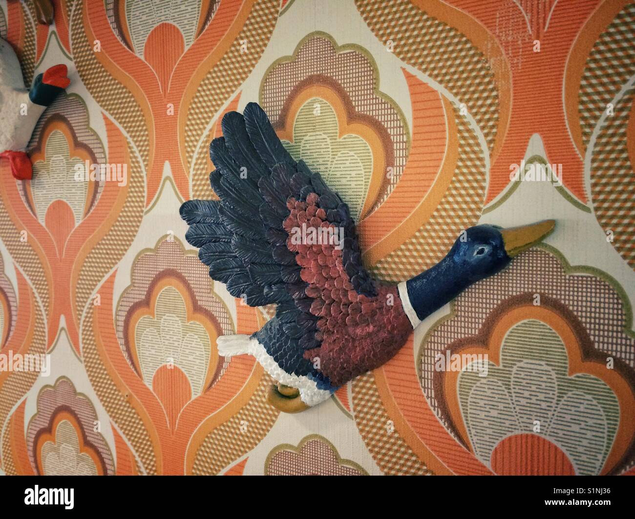 A retro 1970s wall mounted duck flying along on 70s wallpaper like in Hilda Ogden's house in the TV series Coronation Street - Smartphone Captured Stock Image