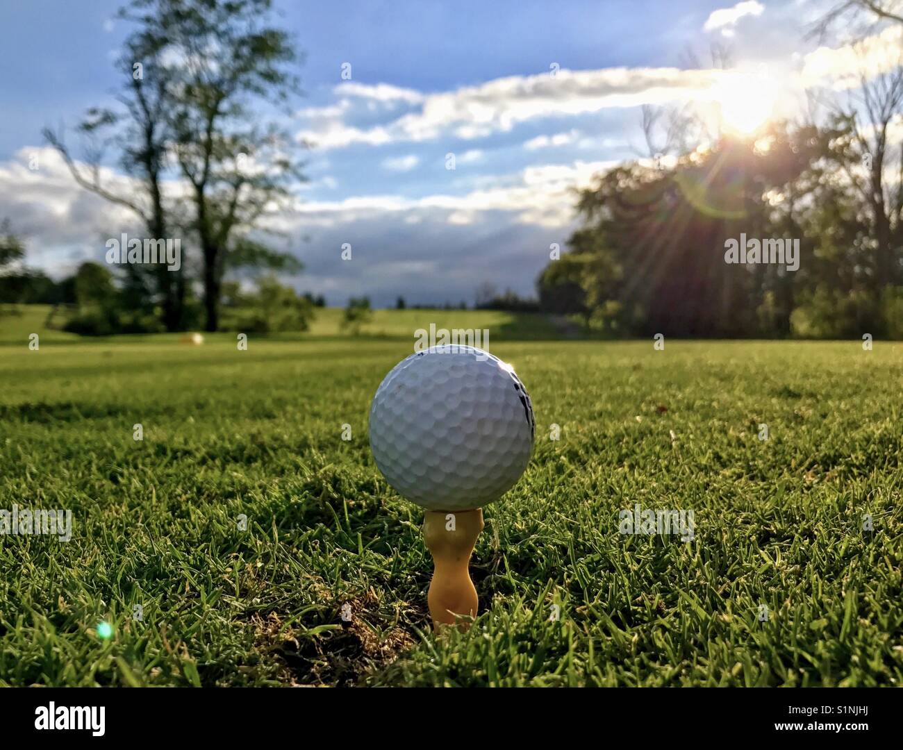 Vintage golf tee on the course Stock Photo