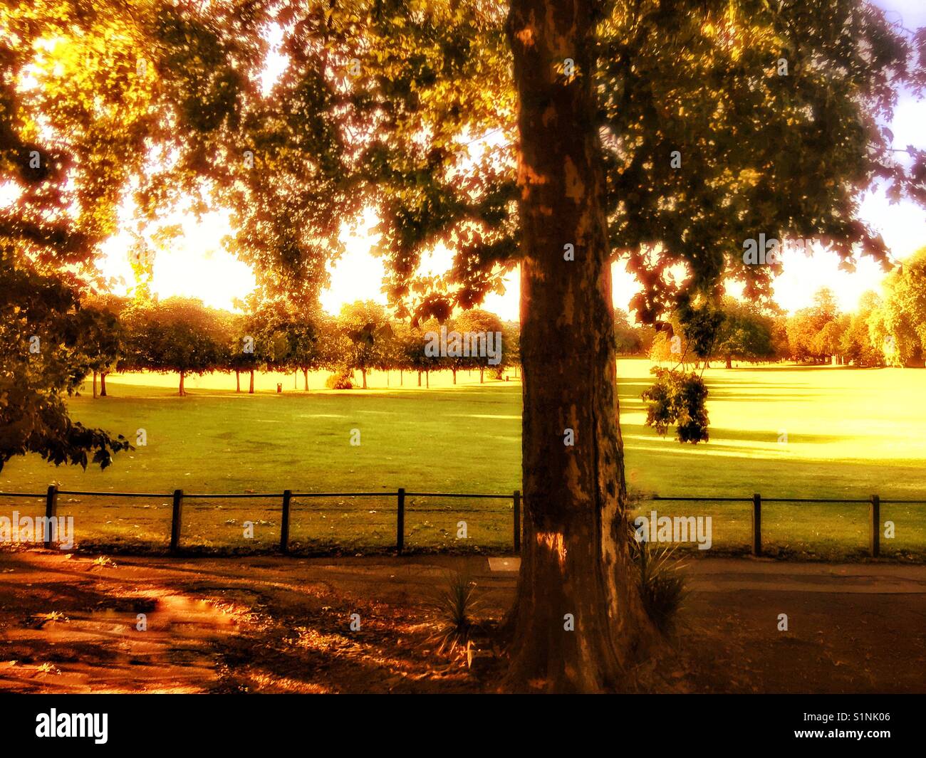 Peckham Rye park Stock Photo - Alamy