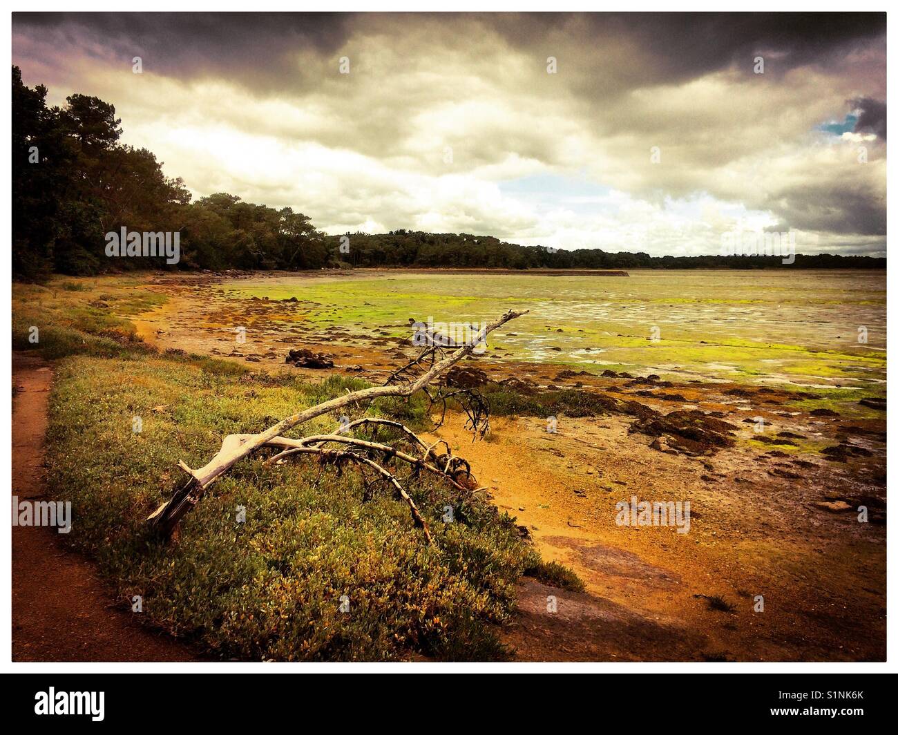 Pont-l'Abbe Brittany France, estuary with broken branch in foreground and stormy sky - Smartphone Captured Stock Image