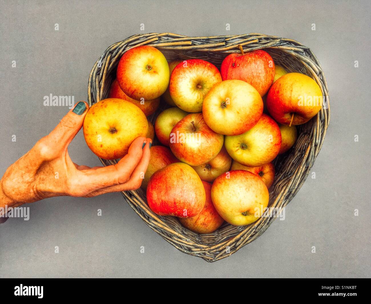 British windfall apples Stock Photo Alamy