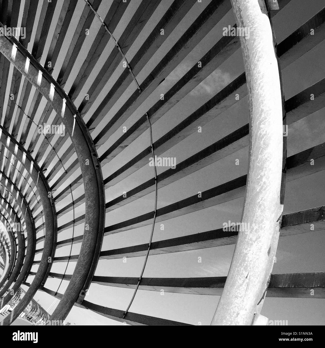 Shell pattern hi-res stock photography and images - Alamy