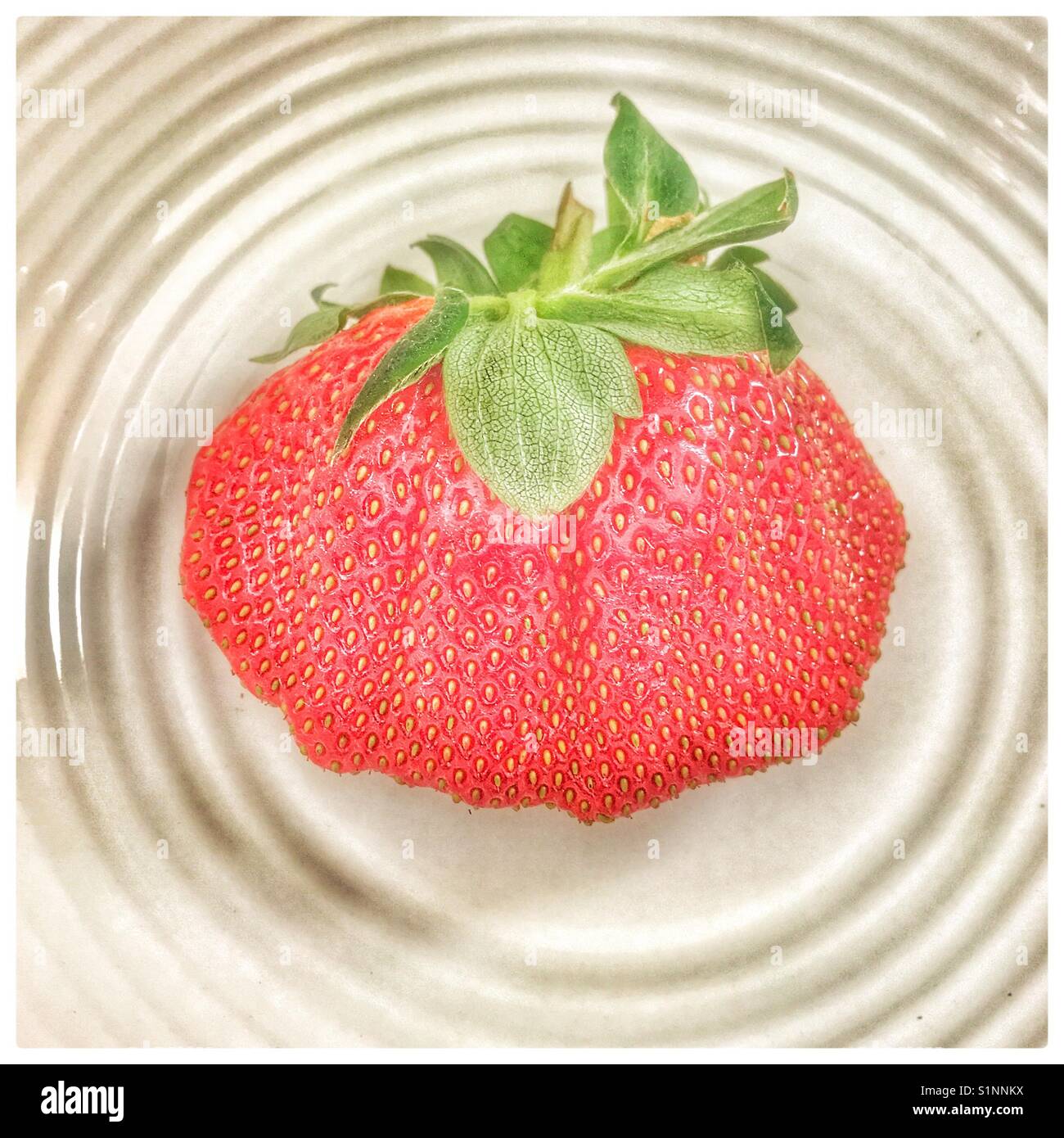 Large strawberry on plate. - Smartphone Captured Stock Image