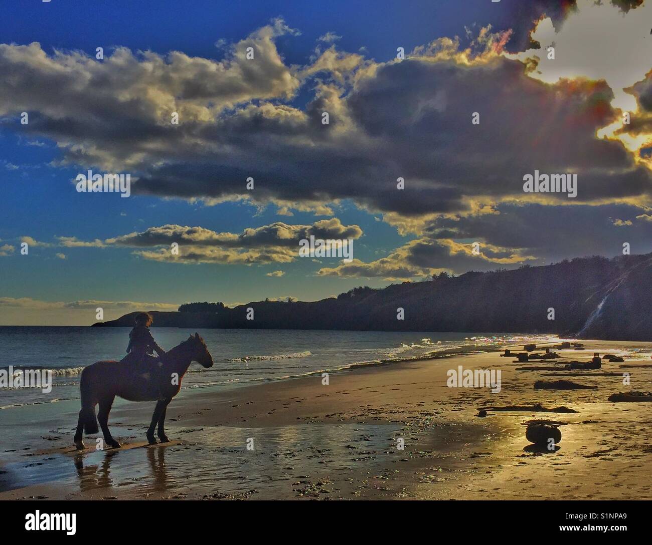 Man in his horse on the beach Stock Photo - Alamy