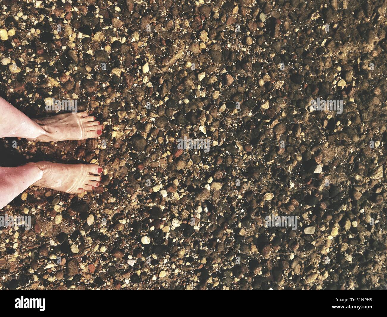 Standing in a lake with rocky bottom Stock Photo Alamy