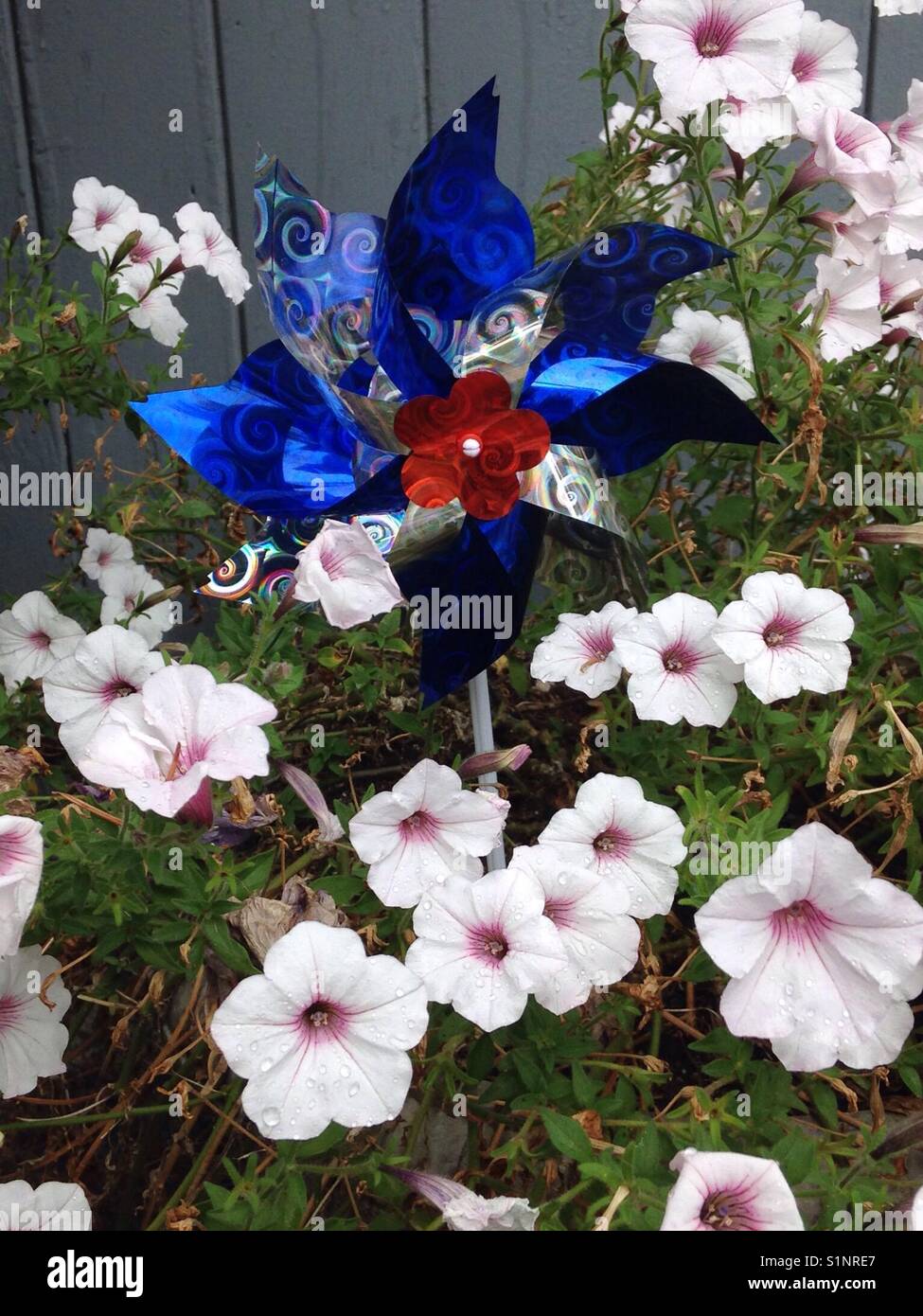 Spinning pin wheel in a garden Stock Photo Alamy