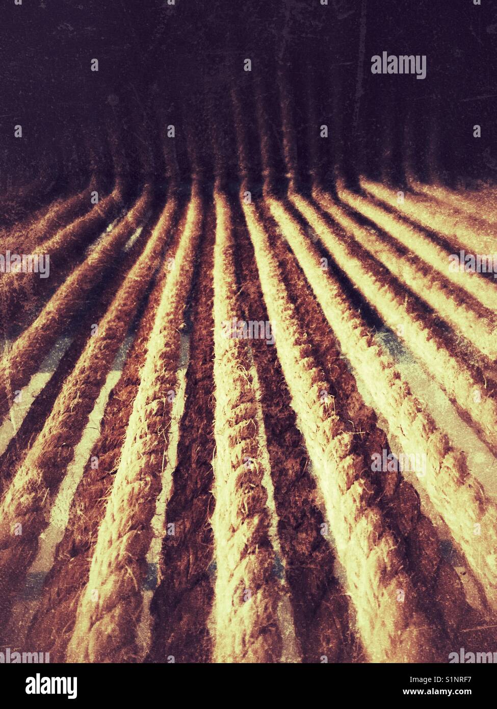 Ropes tied from top to ground - Smartphone Captured Stock Image