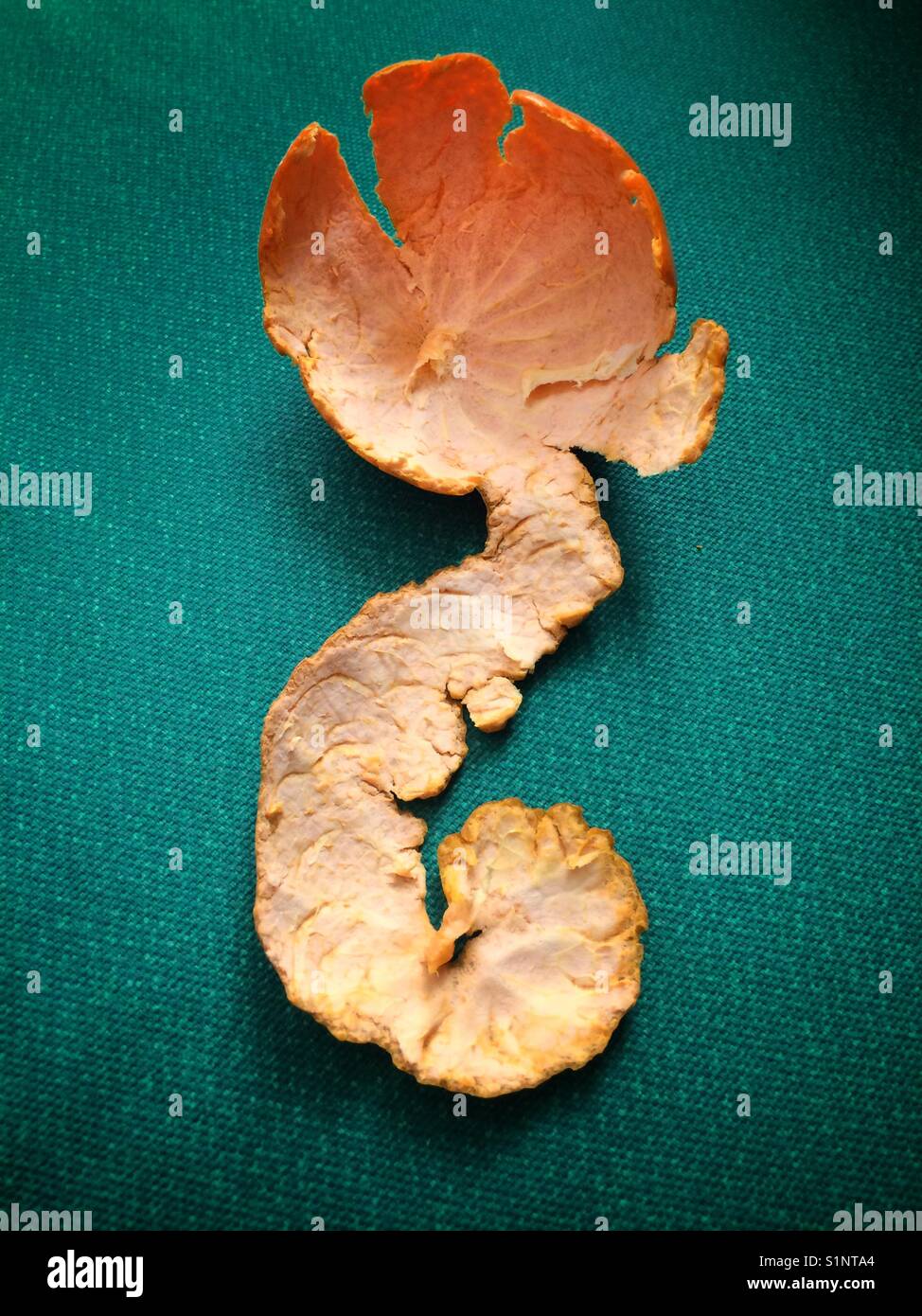 Orange peel Stock Photo Alamy