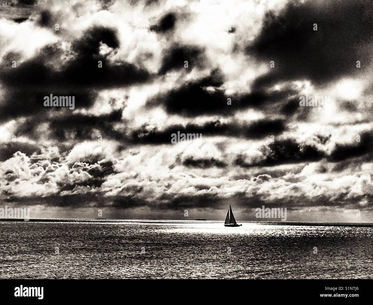 Yacht sailing on the North Sea, Bawdsey, Suffolk, England. - Smartphone Captured Stock Image
