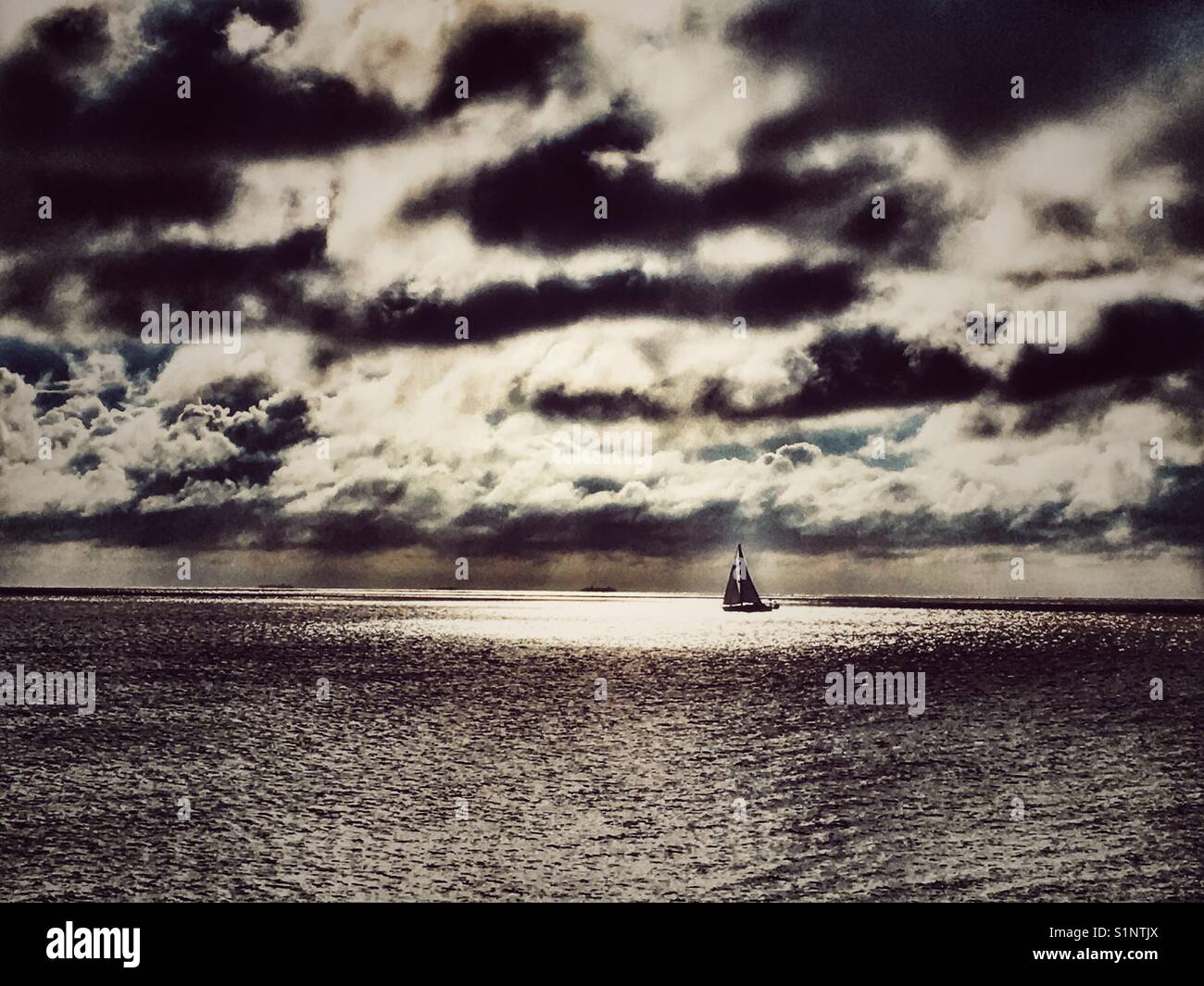Yacht sailing on the North Sea Bawdsey Suffolk - Smartphone Captured Stock Image