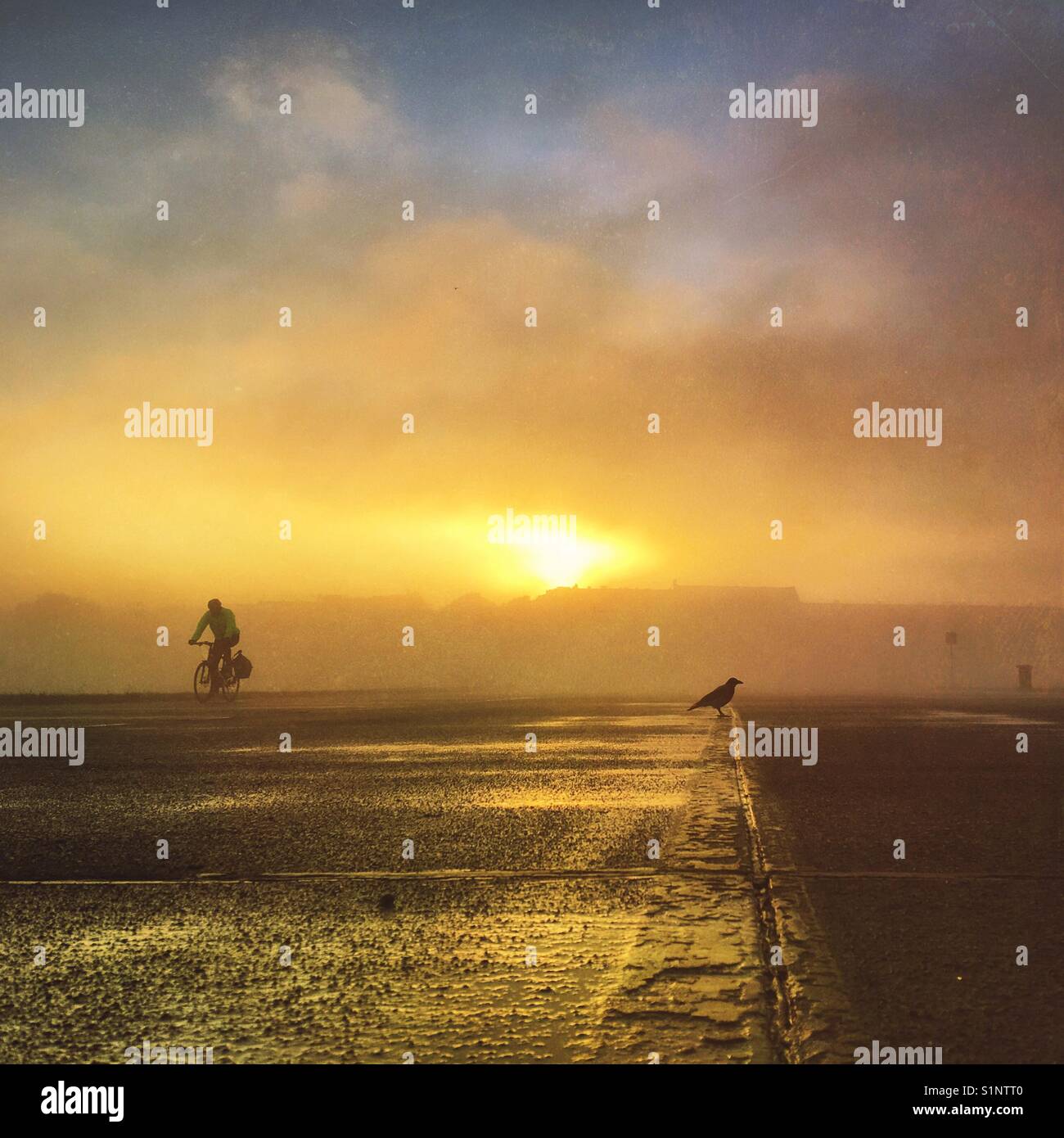 An autumn morning on the former Tempelhof airport in Berlin, Germany Stock Photo