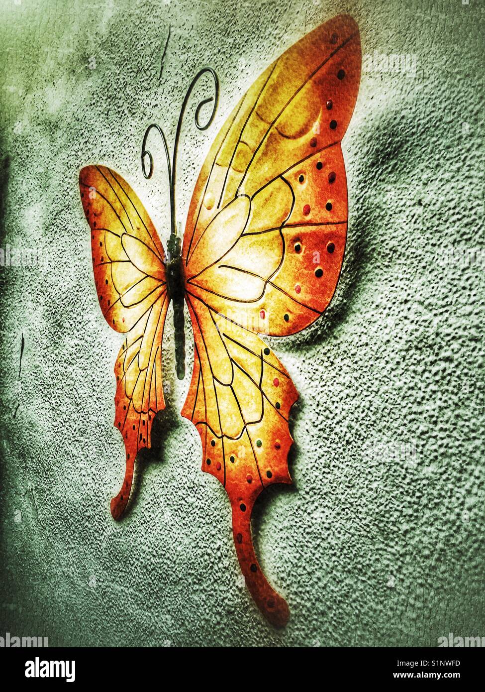 Butterfly wall decoration, made of painted metal - Smartphone Captured Stock Image