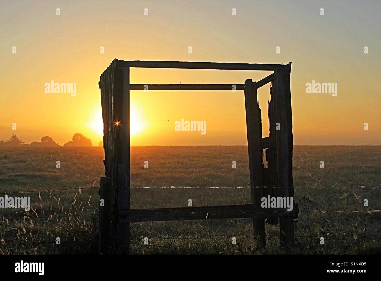 Sun rising over rural property with old rundown shed - Smartphone Captured Stock Image