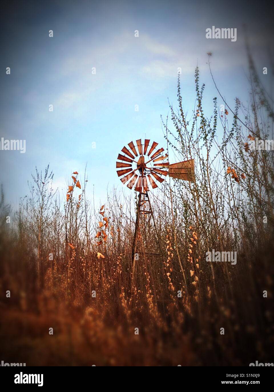 Windpomp hi-res stock photography and images - Alamy