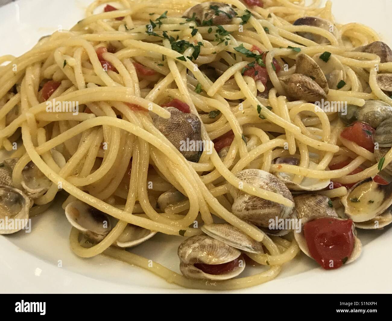 Noodles with clams - Smartphone Captured Stock Image